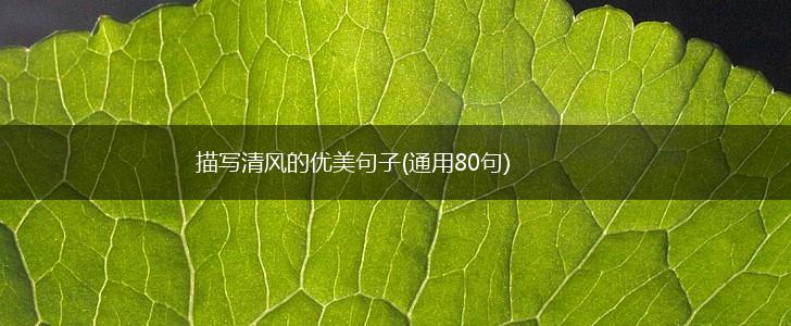 描写清风的优美句子(通用80句),第1张