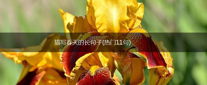 描写春天的长句子(热门11句),第1张