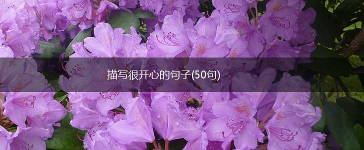 描写很开心的句子(50句),第1张