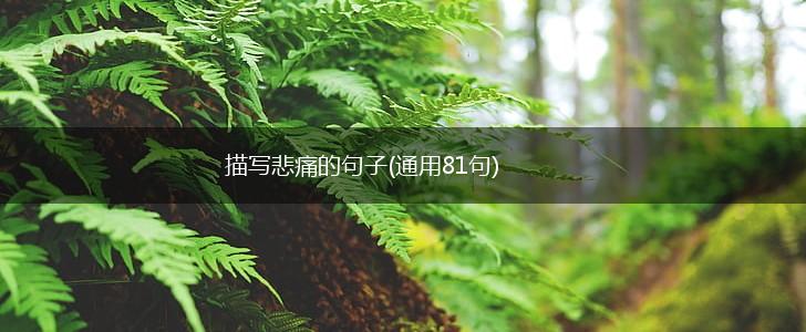 描写悲痛的句子(通用81句),第1张