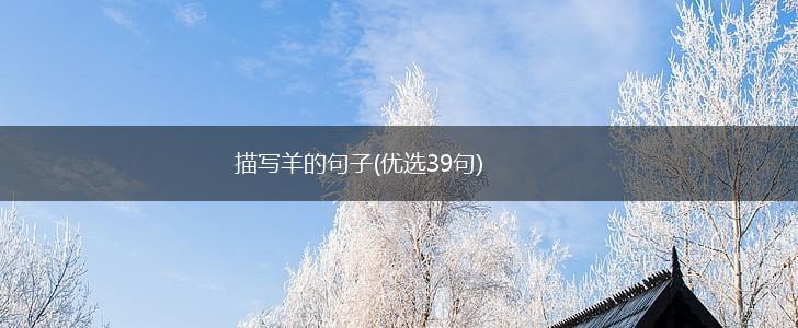 描写羊的句子(优选39句),第1张