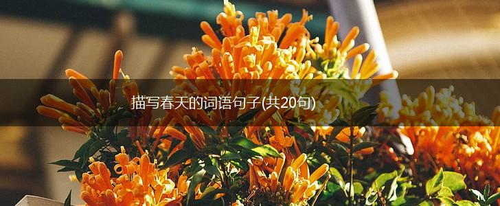 描写春天的词语句子(共20句),第1张