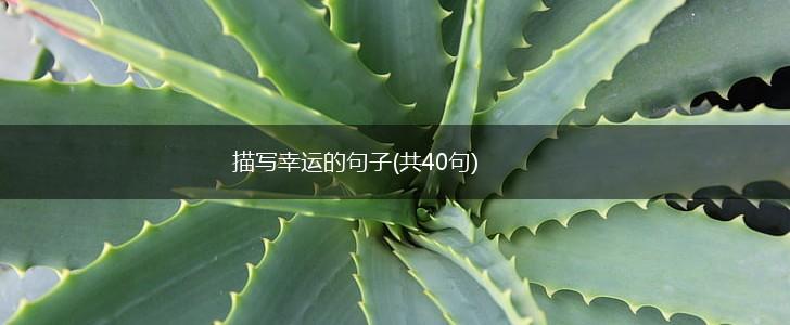 描写幸运的句子(共40句),第1张