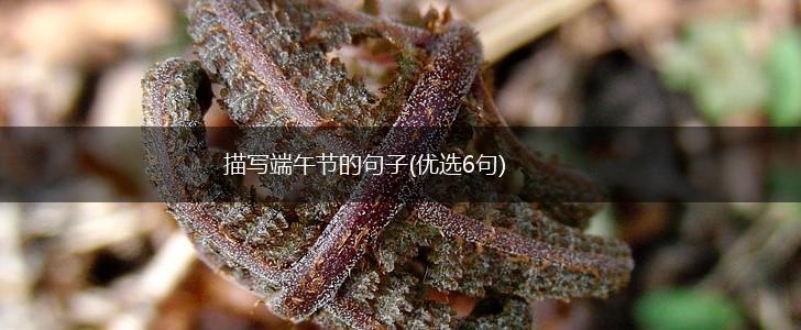 描写端午节的句子(优选6句),第1张