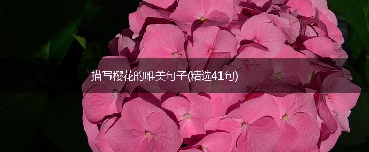 描写樱花的唯美句子(精选41句),第1张