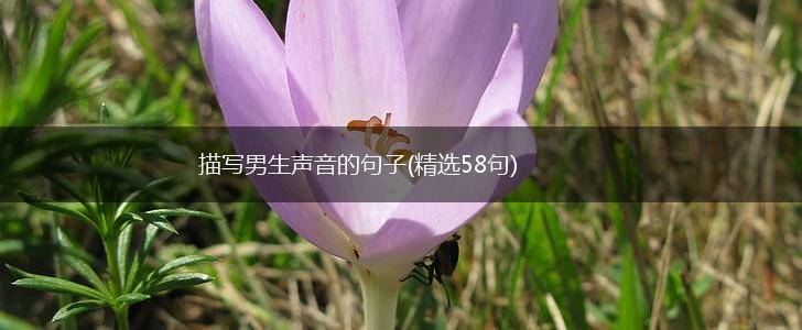 描写男生声音的句子(精选58句),第1张