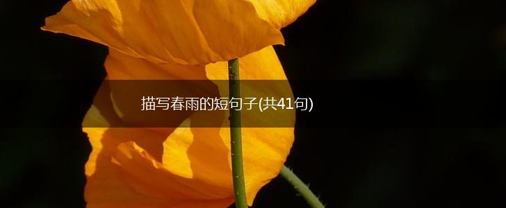 描写春雨的短句子(共41句),第1张