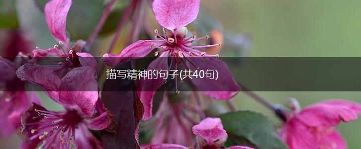 描写精神的句子(共40句),第1张