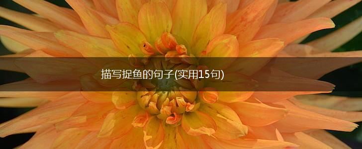 描写捉鱼的句子(实用15句),第1张