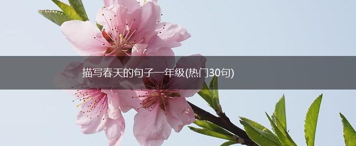 描写春天的句子一年级(热门30句),第1张
