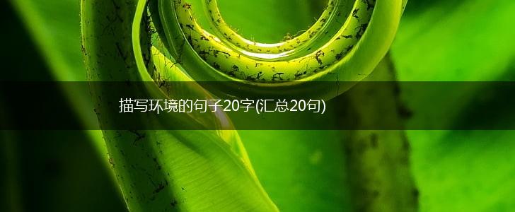 描写环境的句子20字(汇总20句),第1张