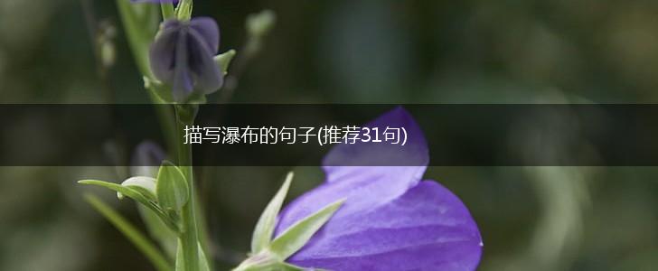 描写瀑布的句子(推荐31句),第1张