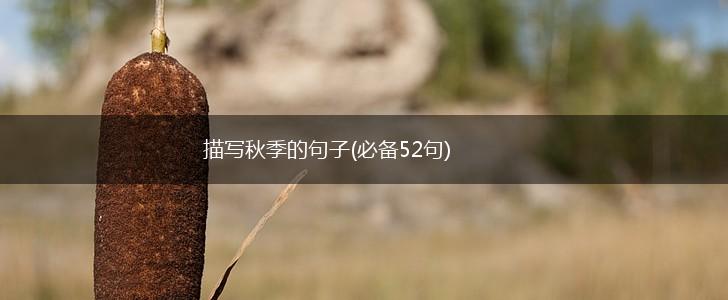 描写秋季的句子(必备52句),第1张