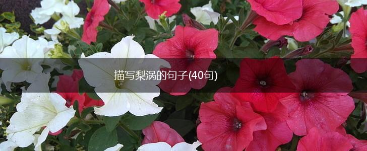 描写梨涡的句子(40句),第1张
