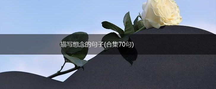 描写想念的句子(合集70句),第1张