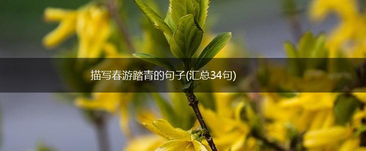 描写春游踏青的句子(汇总34句),第1张
