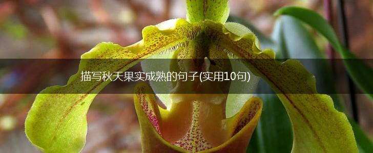 描写秋天果实成熟的句子(实用10句),第1张
