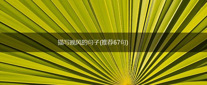 描写晚风的句子(推荐67句),第1张