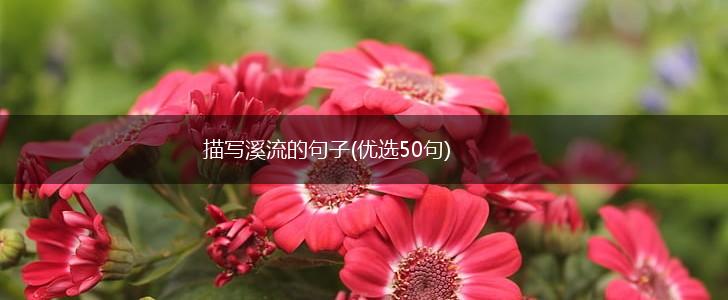 描写溪流的句子(优选50句),第1张