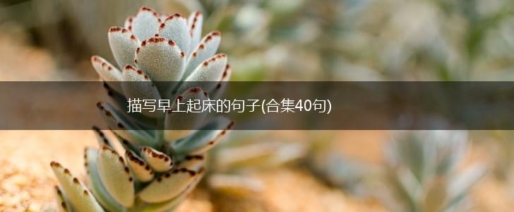 描写早上起床的句子(合集40句),第1张