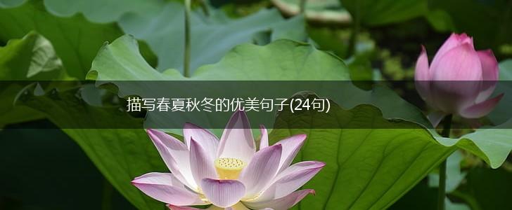 描写春夏秋冬的优美句子(24句),第1张