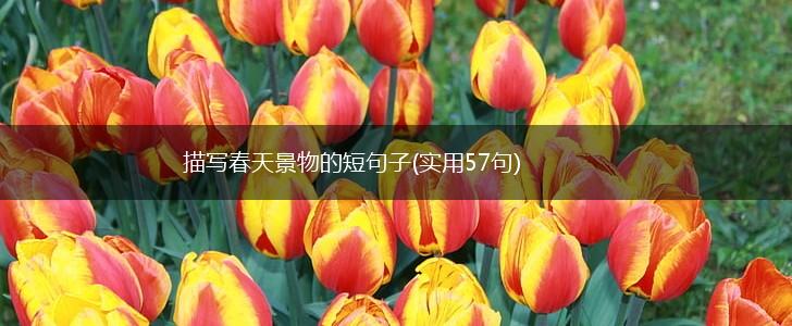 描写春天景物的短句子(实用57句),第1张
