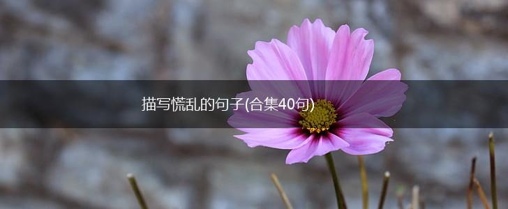 描写慌乱的句子(合集40句),第1张