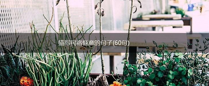 描写民宿惬意的句子(60句),第1张