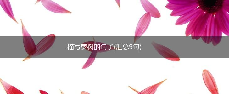 描写枣树的句子(汇总9句),第1张