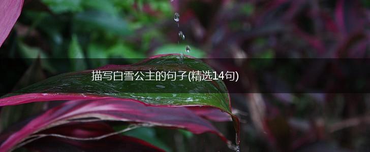 描写白雪公主的句子(精选14句),第1张