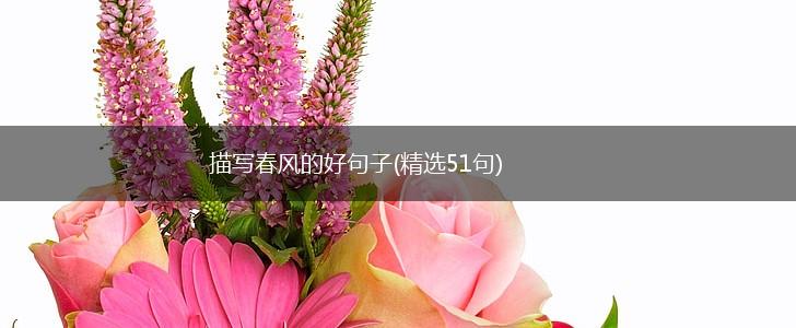 描写春风的好句子(精选51句),第1张