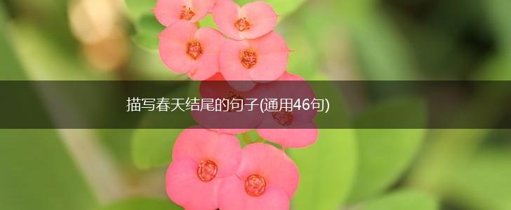 描写春天结尾的句子(通用46句),第1张