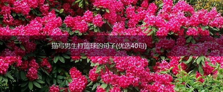 描写男生打篮球的句子(优选40句),第1张