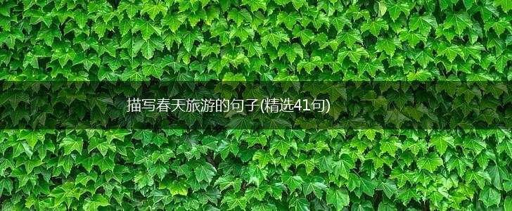 描写春天旅游的句子(精选41句),第1张