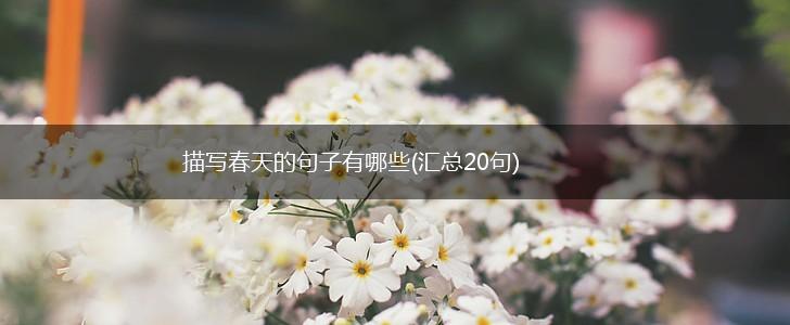 描写春天的句子有哪些(汇总20句),第1张