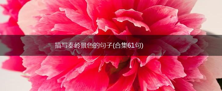 描写秦岭景色的句子(合集61句),第1张