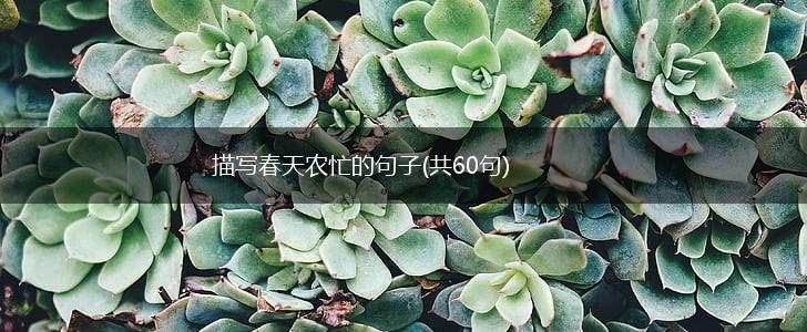 描写春天农忙的句子(共60句),第1张