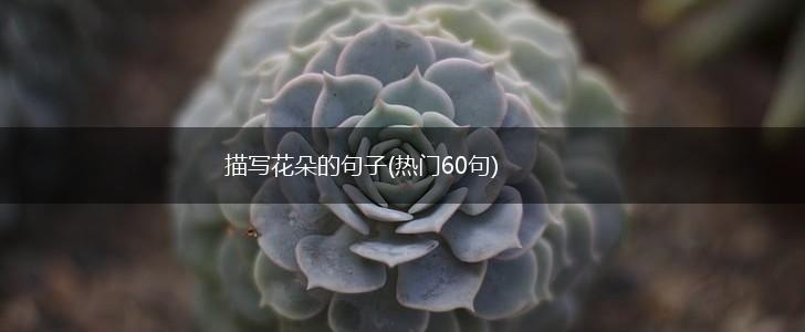 描写花朵的句子(热门60句),第1张