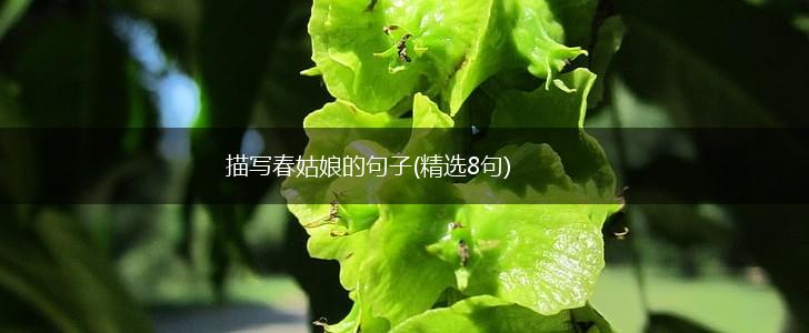 描写春姑娘的句子(精选8句),第1张