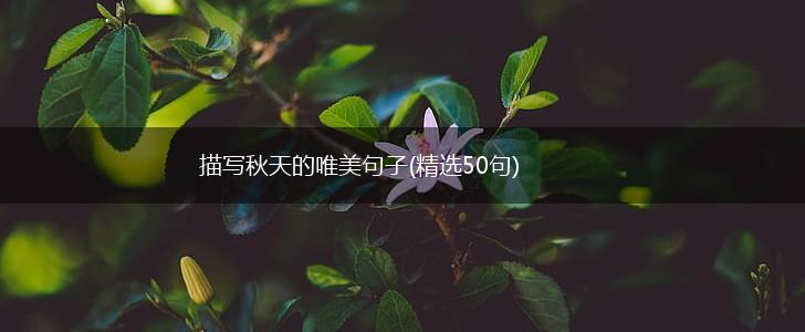 描写秋天的唯美句子(精选50句),第1张