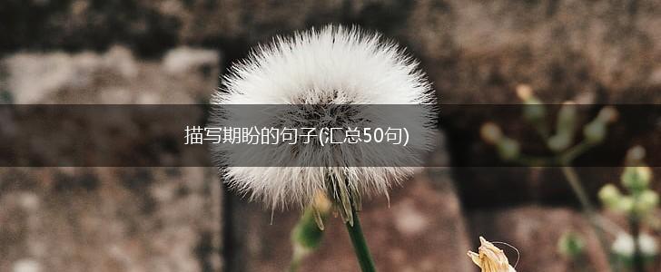 描写期盼的句子(汇总50句),第1张