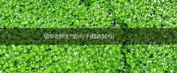 描写老师生气的句子(精选50句),第1张