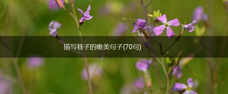 描写巷子的唯美句子(70句),第1张