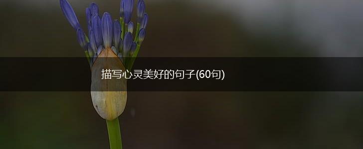 描写心灵美好的句子(60句),第1张