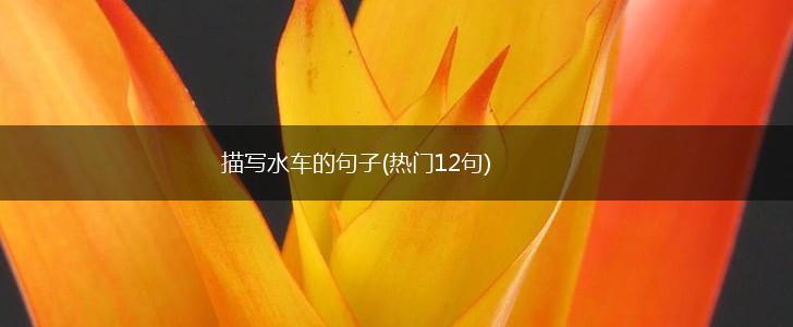 描写水车的句子(热门12句),第1张