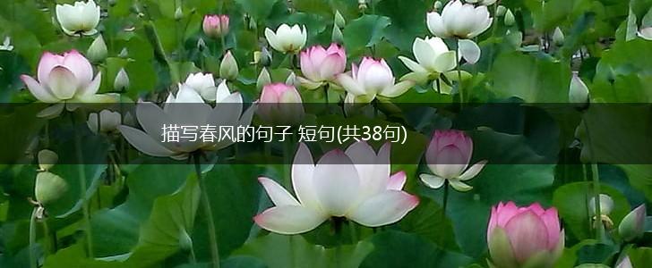 描写春风的句子 短句(共38句),第1张