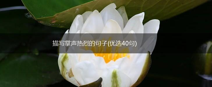 描写掌声热烈的句子(优选40句),第1张