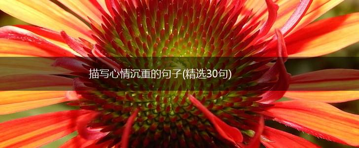 描写心情沉重的句子(精选30句),第1张