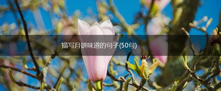 描写月饼味道的句子(50句),第1张