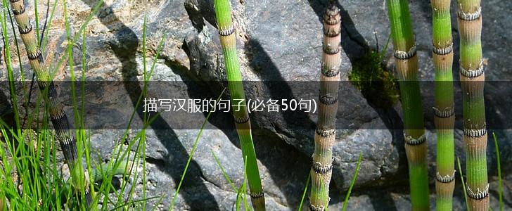描写汉服的句子(必备50句),第1张